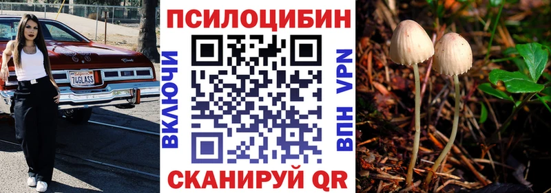 mega tor  Выкса  Галлюциногенные грибы мухоморы 